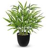 Arborus Pianta di bambù artificiale da 45,7 cm in vaso nero, alta 45 cm, albero di bambù finto fortunato per interni, piante artificiali da scrivania, piante in vaso finto per casa, ufficio, cucina