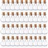 Vegena Mini Bottiglie Vetro, Set di 40 Piccole Bottiglie, 2ml Boccetta con Tappo in Sughero, Trasparenti Barattoli Piccoli Mini Bottigliette per Feste, Decorazioni Fai da Te