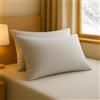 INTRECCI Coppia Federe 52x82 cm in Flanella 100% Cotone Tinta Unita, Morbide, Felpate e Calde (Grigio)