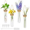 Haelyze Set di 4 provette da appendere, in vetro, con gancio e spazzola per la pulizia, vaso da parete adatto per piante idroponiche, decorazioni per finestre e fiori