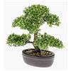 artplants.de Ficus Bonsai Artificiale Hesper in Ciotola, 30cm | Bonsai Finto/Pianta da Ufficio