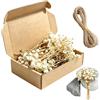 JOVYTH 50 Pezzi Gypsophila Essiccata Gialla, Fiori Secchi Naturali, Mini Fiori per Artigianato, Resina e Decorazioni Nozze