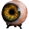 Generic Eyeball Scultura - Statuetta horror per decorazione | Materiale in resina con design realistico degli occhi, ornamento da tavolo raccapricciante, decorazione per casa infestata, accento