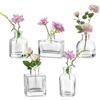 Hewory Vasi in vetro per fiori: 3 cm (larghezza) x 6 cm (altezza), mini vasi in vetro trasparente per decorazione della tavola - 5 mini vasi assortiti per matrimoni, centrotavola, soggiorno