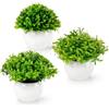 PASCH® Set di 3 mini piante artificiali come reali (13 cm) in vasi di ceramica bianca | Mini bosso artificiale | piante artificiali in vaso | Fake Plant | fiori artificiali in vaso | Pianta