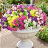inreeme Fiori finti artificiali per esterni, fiori finti in seta dall'aspetto reale per esterni, 5 colori, 10 mazzi, resistenti ai raggi UV, piante in plastica realistiche per giardino, finestra, vaso