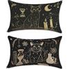 Generic Federe Cuscini Divano 40x70cm Copri Cuscini per Divano Letto Decorativi Nero Velluto Set di 2 Cuscino Esterno Impermeabili Rettangolari Grandi Gatto con Zip Nascosta per Arredo Camera Esterno u-14435