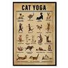 Bioprocess Poster vintage in metallo con scritta in inglese Cat Yoga Poses (20 x 30 cm)