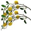 Aisamco 2 Rami Limone Artificiale 80cm | Frutta schiuma finta, Pianta plastica, Casa giardino, Limone simulato