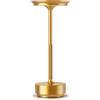 HYMZP Lampada da Tavolo LED Ricaricabile 6000mAh, 3 Colori, Dimmerabile，Oro | 3 Colori di Luce/ Luminosità Touch Regolabile/ Protezione IP54/ Memoria Intelligente/ Per Interni ed Esterni
