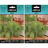 Semillas Batlle Semi di erbe di Batlle - Melissa (Seeds - 60cm) (Confezione da 2)