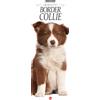Sprea Book Border collie. Calendario 2027. Long