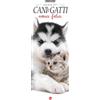 Sprea Book Cani & gatti amici felici. Calendario 2027. Long