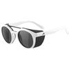 ALPINA Glace Glacier Sunglasses Unisex - Adulto (Pacco da 1)