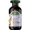 Antica Erboristeria Laboratorio Natura Antica Erboristeria - 2in1 Shampoo & Balsamo Nutriente al Latte di Mandorla per Capelli Fragili, Formula Vegan Senza Siliconi, 225ml