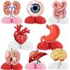 Jollyboom Decorazione per feste di anatomia umana, 8 pezzi, a tema corpo umano, centrotavola a nido d'ape, parte umana, organo, stampa su entrambi i lati, decorazione da tavolo per anatomia, medico,