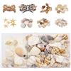Bangbobi Conchiglie Déco e Stelle Marine, Mischia Naturale Creazioni | Progetti creativi fai-da-te, decoro per vasi e tavoli, conchiglie marine per idee di bricolage