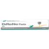 Nextmune italy srl DIRENE PASTA 15ML