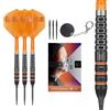 Target Darts Raymond Van Barneveld Punta in Acciaio 95% Tungsteno con SP | 21G/23G/25G RVB Dart Set, No.2 K-Flex Alettes e Steli Sistemi, Swiss Storm Punti, Premium Swiss Key Tool, SP, Kflex