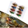 Wodsty 8 ami da pesca a mosca Ninfa K?der in plastica e acciaio al carbonio, mosche realistiche per trota e pesce persico