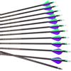 PHILOCS 6/12pc Lunghezza Personalizzata Frecce in Carbonio 300/350/400/500/600/700/800 Spine 2 Piume di Plastica Freccia per Bersagli Freccia da Caccia per Arco Ricurvo Arco Composto Tiro con L'Arco