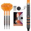 Target Darts Raymond Van Barneveld 95% Tungsteno Punta Morbida Dart, 20G | RVB, No.2 K-Flex Alettes e Steli, Cryo Tips, Titanio Conversione Punti, Premium Swiss Key Tool, Professionale Dart Set, Kflex