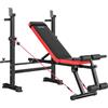SPORTNOW Panca Palestra Multifunzione con Sedile Supporto Bilanciere 420kg | Schienale Regolabili, Panca Pesi con Dip Station, Leg Extension, Addominali, 2 Bande, Allenamento Palestra Casa