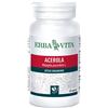 ERBA VITA Acerola 60 capsule 550 mg - ERBA VITA - 902654300