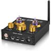 Selius Amplificatore per cuffie Hi-Fi - Bluetooth 5.0 - DAC USB a 24 bit e 192 kHz - Uscita per cuffie