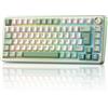 Selius Tastiera da gaming meccanica - Layout QWERTZ ISO-DE - Compatta (75%) - Illuminazione RGB - Verde Matcha