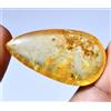 Gemsmyriad 100% Naturale Giallo Ambra con Piccolo Insetto Inside 17.35 KT Certificato Gemma