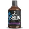 Polleo L-Carnitine 10.000 500 ml Fluido