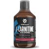 Polleo L-Carnitine 10.000 500 ml Fluido