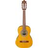 Ibanez Acoustic guitar / GA1OAM Standard