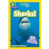 Stephanie Warren Drimmer Sharks! (Tascabile) National Geographic Readers