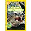 Laura Marsh Alligators and Crocodiles (National Geographic Kids Read (Tascabile)