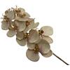 MERCURY ORCHIDEA 9 FIORI ROSA ANTICO 09682