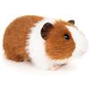 Uni Toys Uni-Toys - Porcellino d'India (marrone e bianco) - 21 cm (lunghezza) - Peluche, giocattolo morbido - Porcellino d'India marrone e bianco (21 cm)