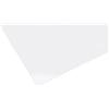 Altro Lastra in vetro sintetico liscio Poliver 50x100 cm sp 5 mm trasparente
