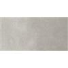 - Piastrella in gres porcellanato Solis Grey cemento 31x62x0,7 cm 1,54 m²
