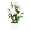 NO BRAND Dalia artificiale in vaso 45x57 cm bianca