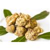 GustoUmbro TARTUFO BIANCO FRESCO ITALIA III Scelta TUBER MAGNATUM PICO TARTUFI FRESCHI 30gr