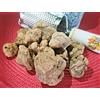 GustoUmbro TARTUFO BIANCO FRESCO UMBRIA 50gr III Scelta TUBER MAGNATUM PICO TARTUFI FRESCHI