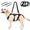 OneTigris Pettorina per cani Taglia Grande, Imbracatura di Sollevamento/Trasporto per Cani con 5 Ganci in Metallo, Con 3 Maniglie e 2 Spallacci Regolabili (Nero, XL)