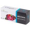 Véritable Lingot® Begonia - Compatibile con Orto da interni autentico® ed Exky® - Ricarica pronta all'uso - Substrato con semi incorporati..