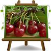 EURO PLANTS VIVAI Ciliegio Acido Amarena Montmorency Pianta da frutto Età 2 Anni | Vaso 20 cm Altezza 150-170 cm