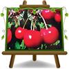 EURO PLANTS VIVAI Ciliegio Dolce Lapins Pianta da Frutto Età 4 Anni | Vaso 24/26 cm Altezza 160~180 cm