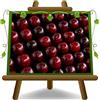 EURO PLANTS VIVAI Ciliegio Dolce Durone Nero di Vignola III Pianta da Frutto Età 4 Anni | Varietà Antica, Vaso 24-26 cm Altezza 180-200 cm