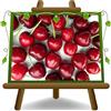 EURO PLANTS VIVAI Ciliegio Dolce Lapins Pianta da Frutto Età 2 Anni | Varietà autofertile Altezza 100~110 cm Vaso 20 cm