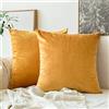 MIULEE Federe Cuscini Arredo Divano Copricuscini Soggiorno Federe Arredamento Casa Moderni Elegante Morbido Resistente in Velluto con la Cerniera Invisibile 2 Pezzi 65X65 CM d'oro